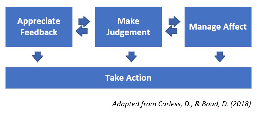 Diagram showing three horizontal boxes with arrows pointing down to fourth box. First box Appreciate Feedback, Second box Make Judgements, Third box Manage Affect. Box below all three Take Action.