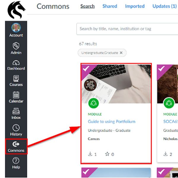 Canvas Commons screen view - Pulling a Commons item into your course