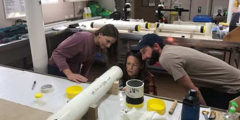Researchers in a lab analysing the samples collected.