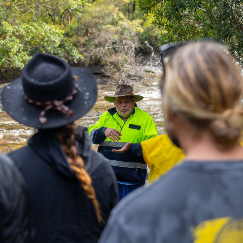 Barry - Special Elective