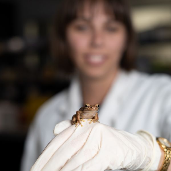 researcher wearing a glove with a frog posed on her hand