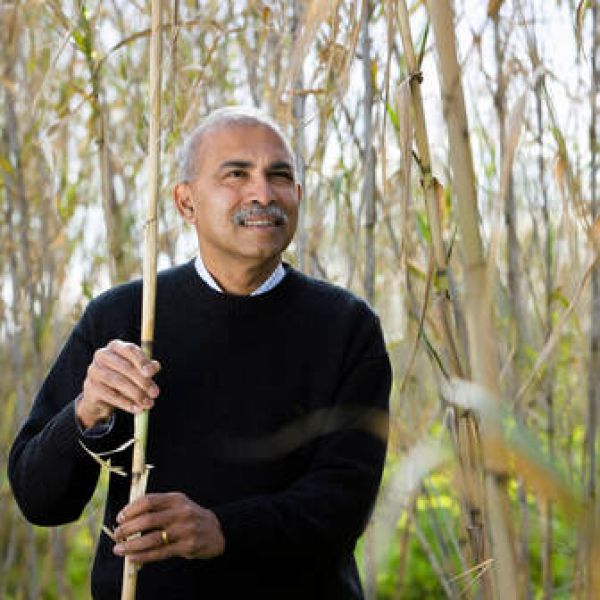 Laureate Professor Ravi Naidu. Laureate Professor Ravi Naidu receives international honour