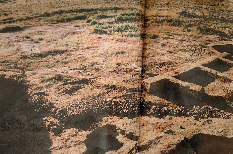 The dragon pattern of reddish-brown stones
