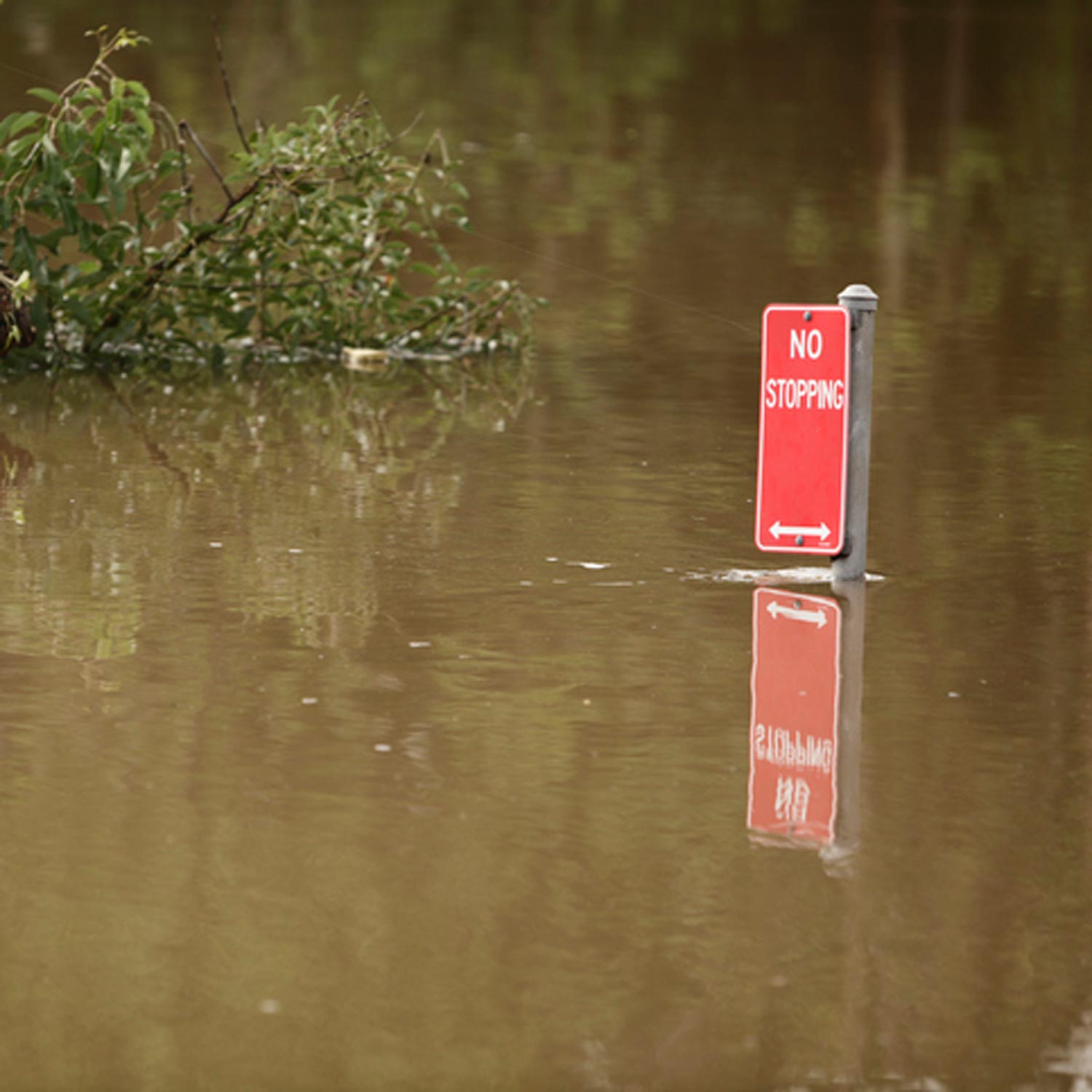 Flood waters in Lismore reach top of no stopping road sign^empty:{ds__assetid^as_asset:asset_name}
