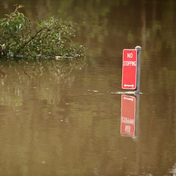 Flood waters in Lismore reach top of no stopping road sign. Female leadership key to community ‘saving itself’ in unprecedented trauma