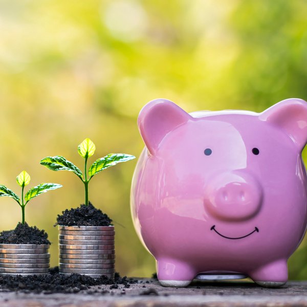 Piggy bank with coins and plants beside it