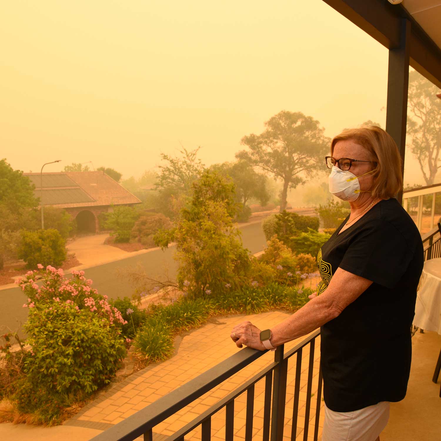 World-first platform to help understand how bushfire smoke harms the lungs and heart
