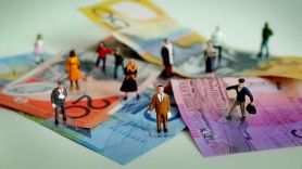 . Economic Control for Regional Communities