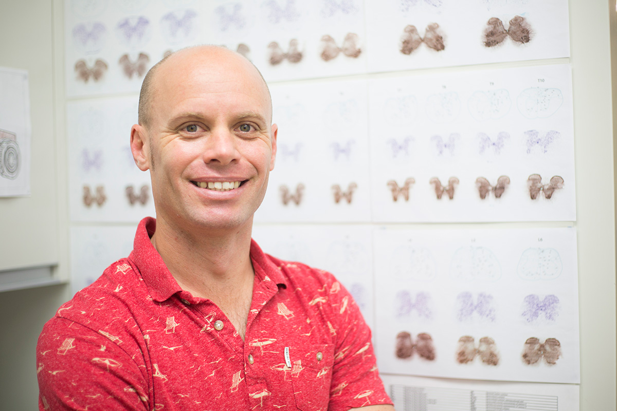 Professor Brett Graham