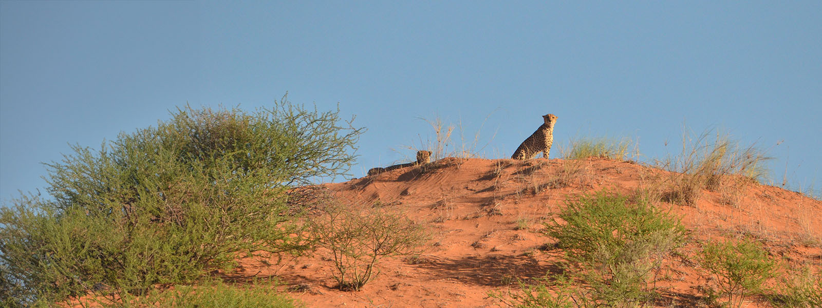 Conservation Science