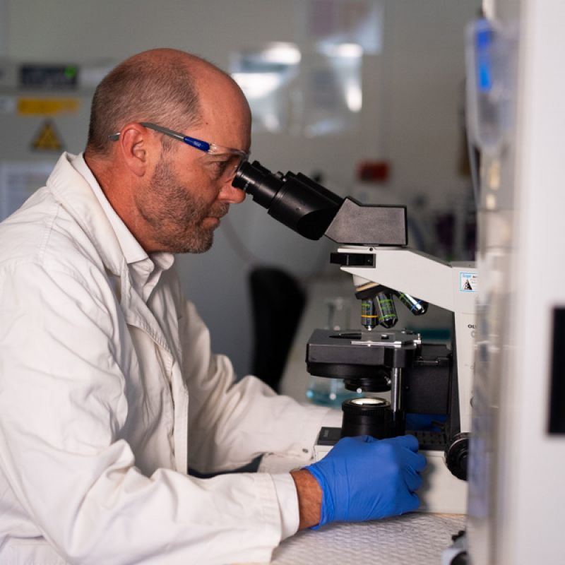 Professor Nixon in a Newcastle lab looking through a microscope