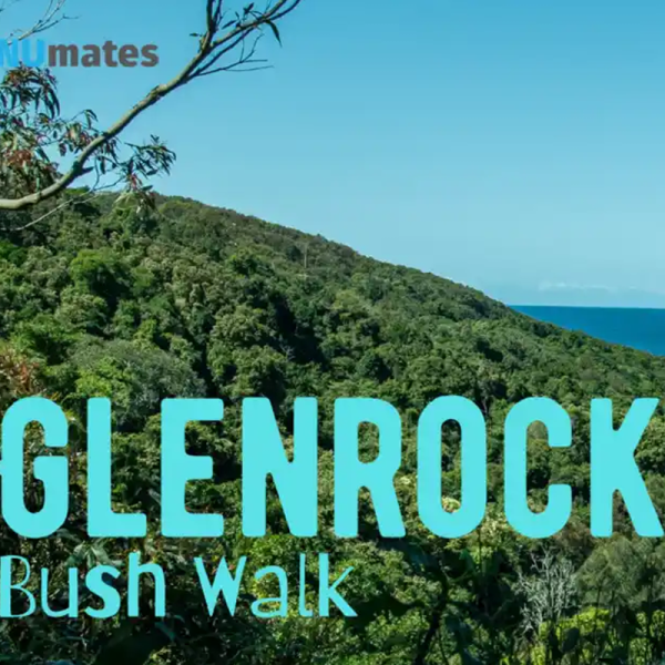 glenrock bush walk