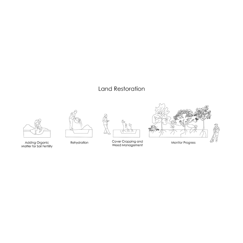 Land Restoration
