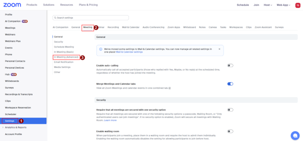 A screenshot taken from the Zoom web portal that shows advanced 'In Meeting' settings.
