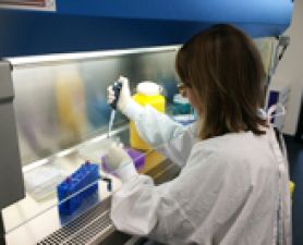 World-first stroke trial led by UON researchers. World-first stroke trial led by University of Newcastle researchers underway in the Hunter