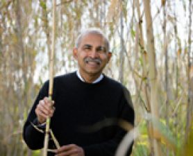 Professor Ravi Naidu. High honour for Professor Naidu