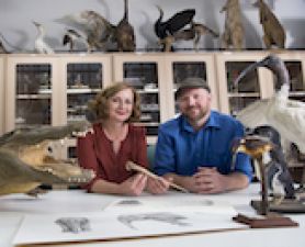 . World-first online course grants access to leading Australian artists