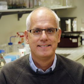 Hubert Hondermarck. Study strikes a nerve with the spread of cancer