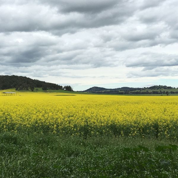 Rural Neighbours in Times of Change 