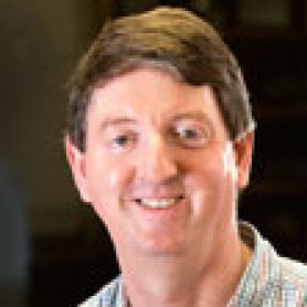 Professor Mark Stewart Professor Mark Stewart