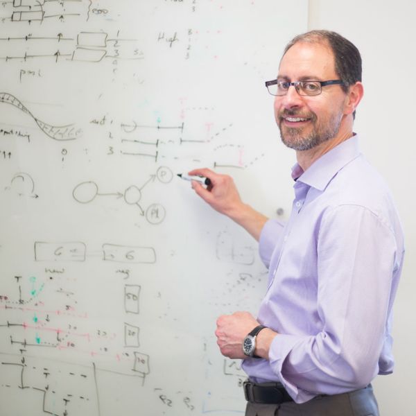 Laureate Professor John Attia. Laureate honour for epidemiology leader