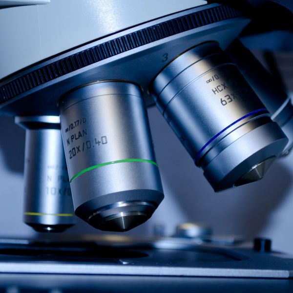 . NHMRC awards $9.3 million to 13 University of Newcastle projects