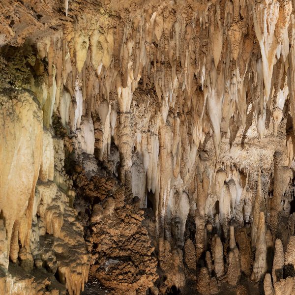 The team combined data from Italian stalagmites with information from ocean sediments drilled off the coast of Portugal. Image: Linda Tegg. What causes an ice age to end?