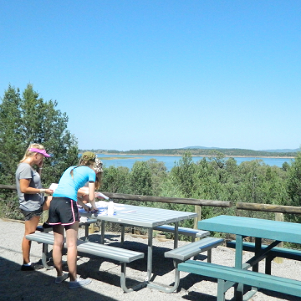 Tamworth Website2.png