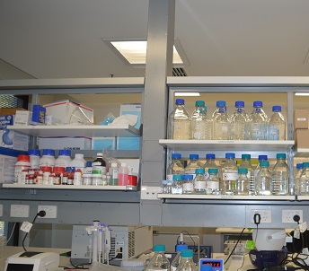 Publication - Buying time: Drug repurposing to treat the host in COVID-19H