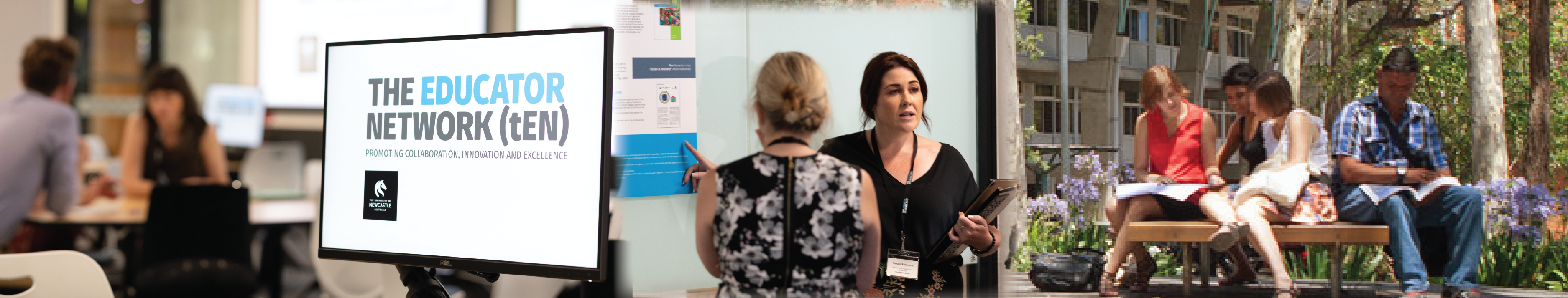 The Educator Network