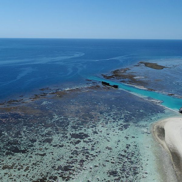 Drone shot of Heron Reef