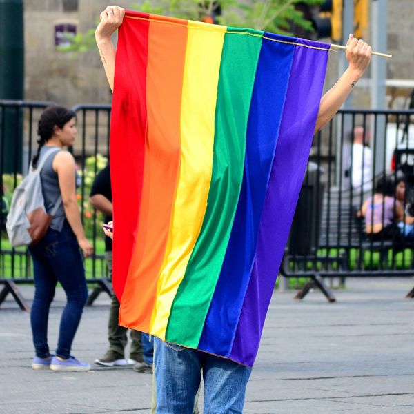 Person holding a rainbow flag to mask someone