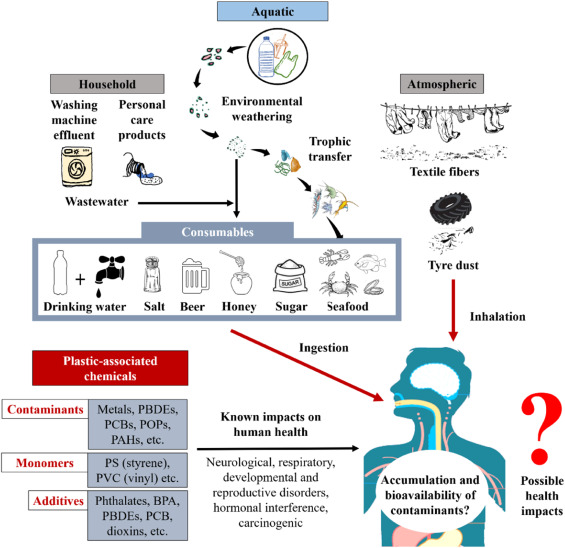 How much plastic do humans ingest in a week?