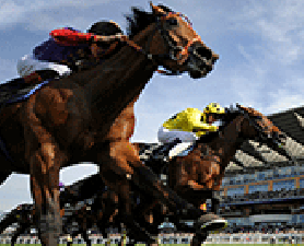 Sport of Kings. Sport of kings 