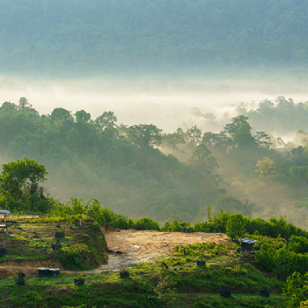 Malaysia Family Fun Hike