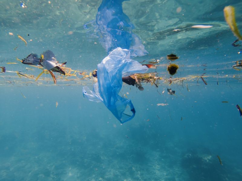 Despite contributing only 1.3% of the world’s plastics pollution, Te Moananui has had the highest recorded quantity of floating plastics in the world.