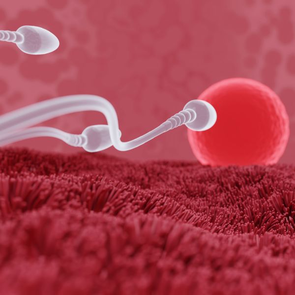 Researcher identifies 6,000 sperm proteins, potentially leading to a male contraceptive  