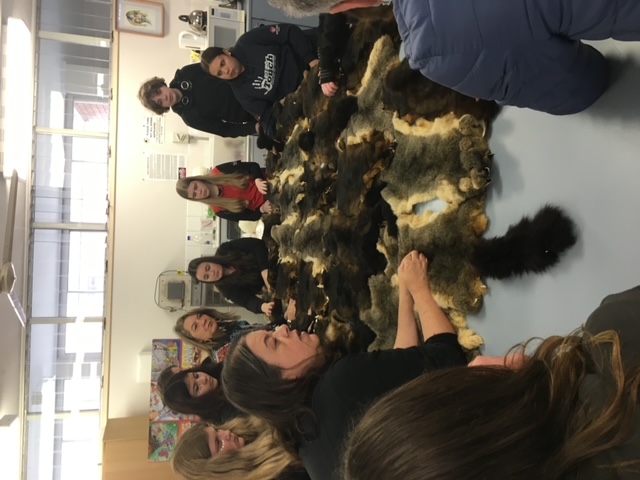 Possum-skin cloak project, Newcastle High School, Cooks Hill Capus High school students standing around a large table looking 20+ possum skins
