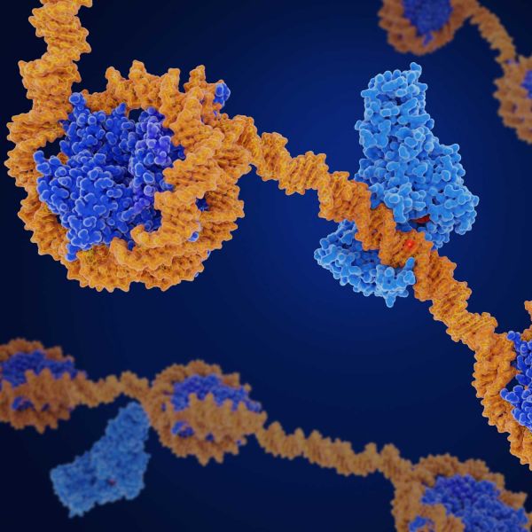 Epigenetics and multiple sclerosis. Funding flags hope for MS treatment and prevention