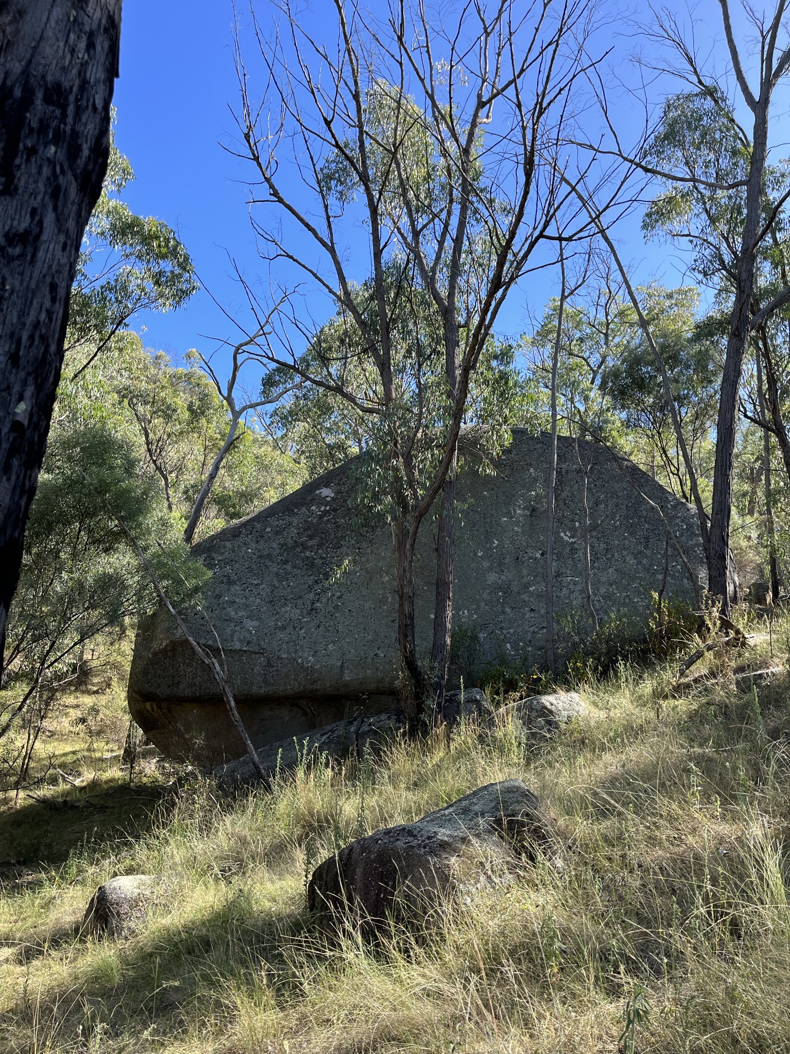 Competitive study advantage and learn from the best