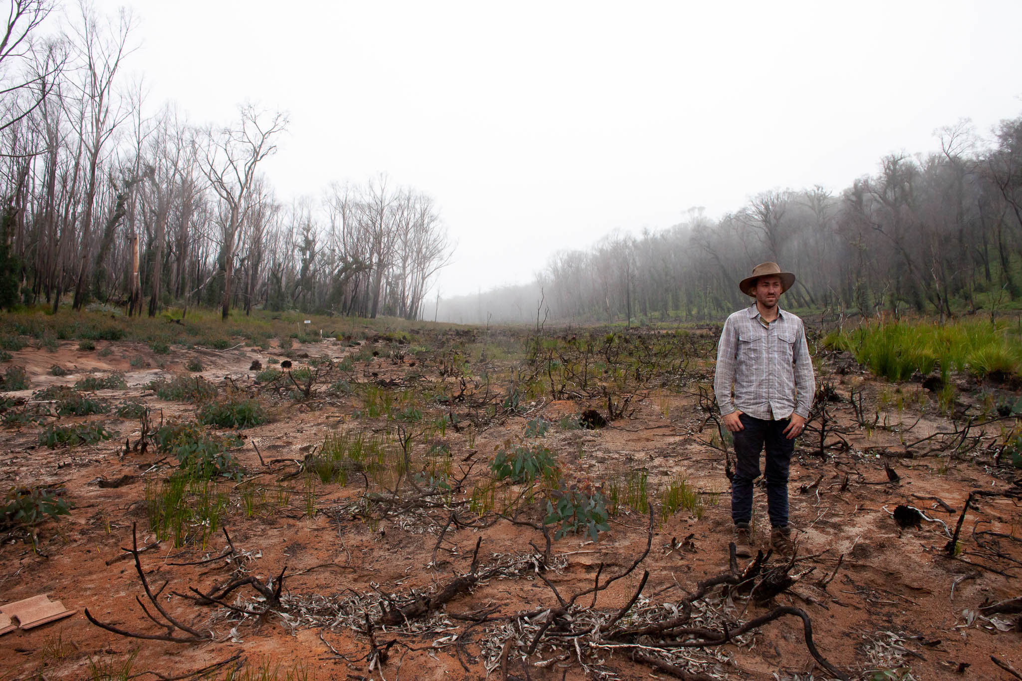 Researcher Chad Beranek standing in bushfire-stricken land