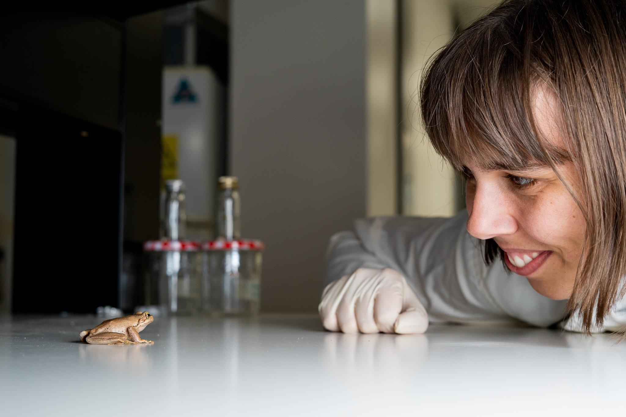 researcher posing in a lab with a Littlejohn's Tree Frog