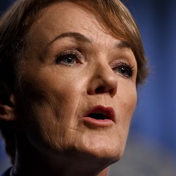 . Bodies found in NSW Investigation 