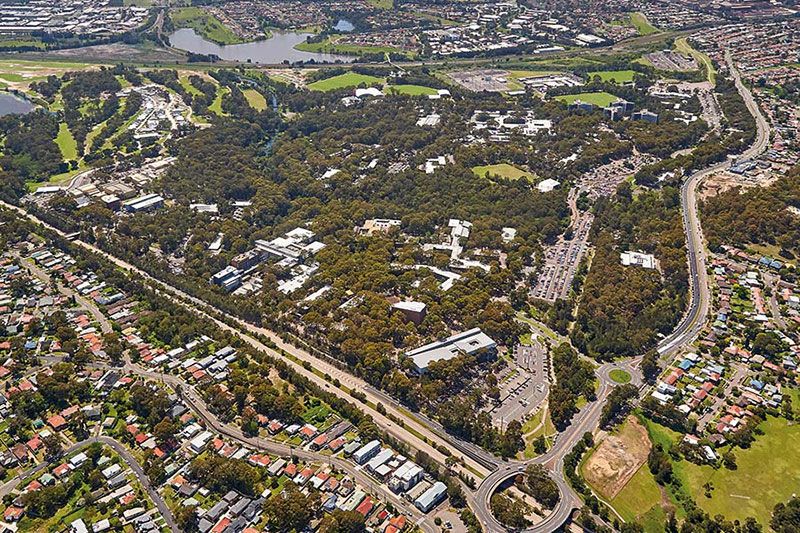 Financial Statements