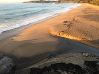 MidNorth Coast Local Health District - Coffs Clinical Network