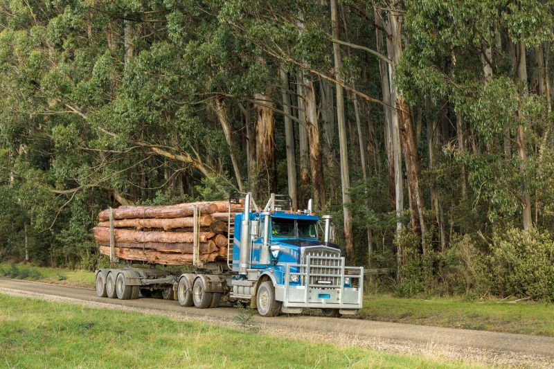 Blue truck carrying tree logs, driving along a rural road beside bushland