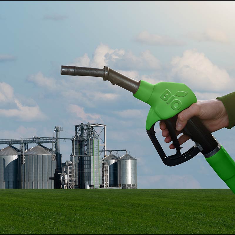 Is bioenergy ever truly green? It depends on 5 key questions