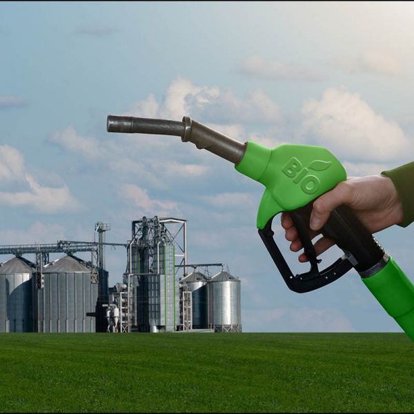 Is bioenergy ever truly green? It depends on 5 key questions