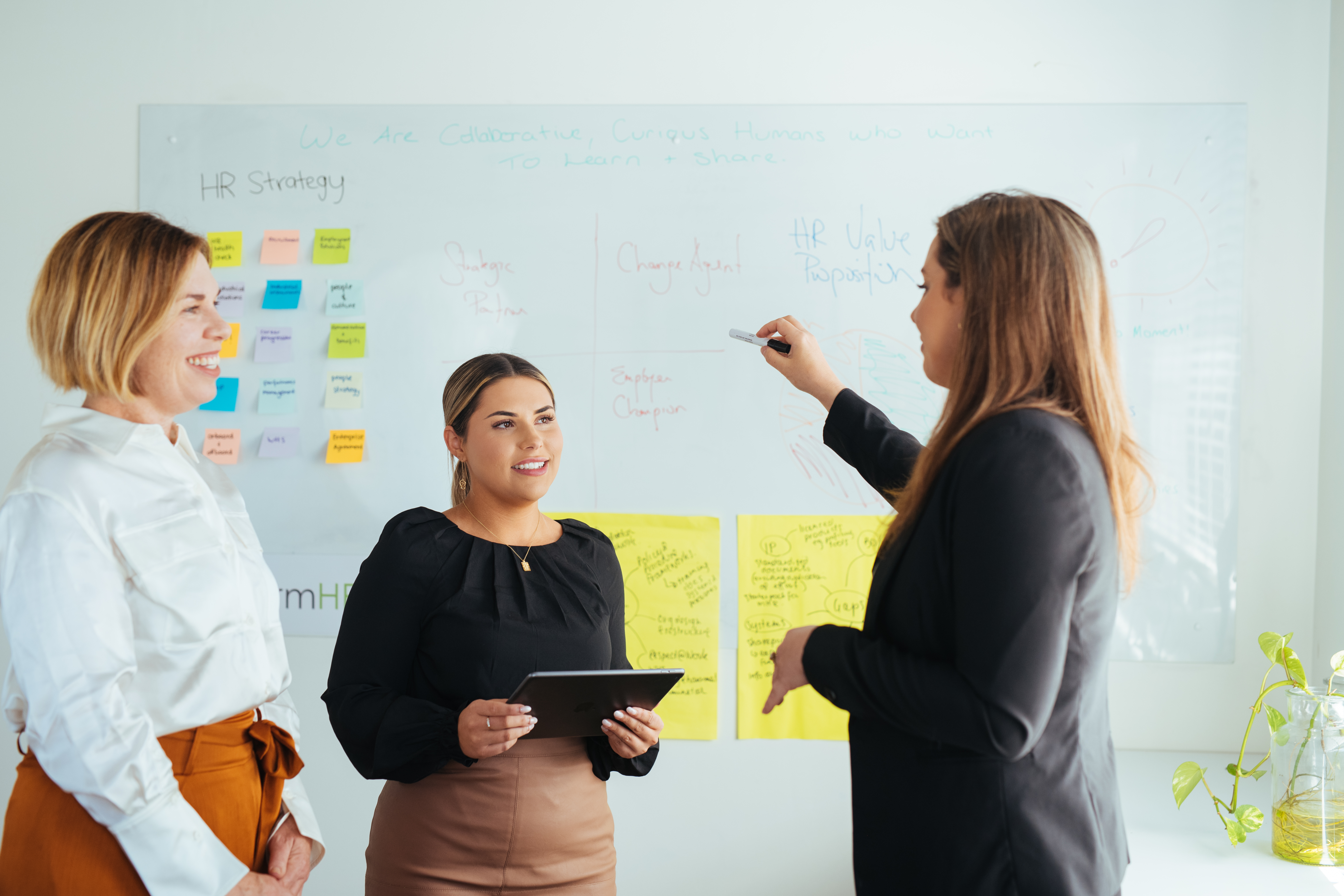 Business, Commerce and Tourism Placements