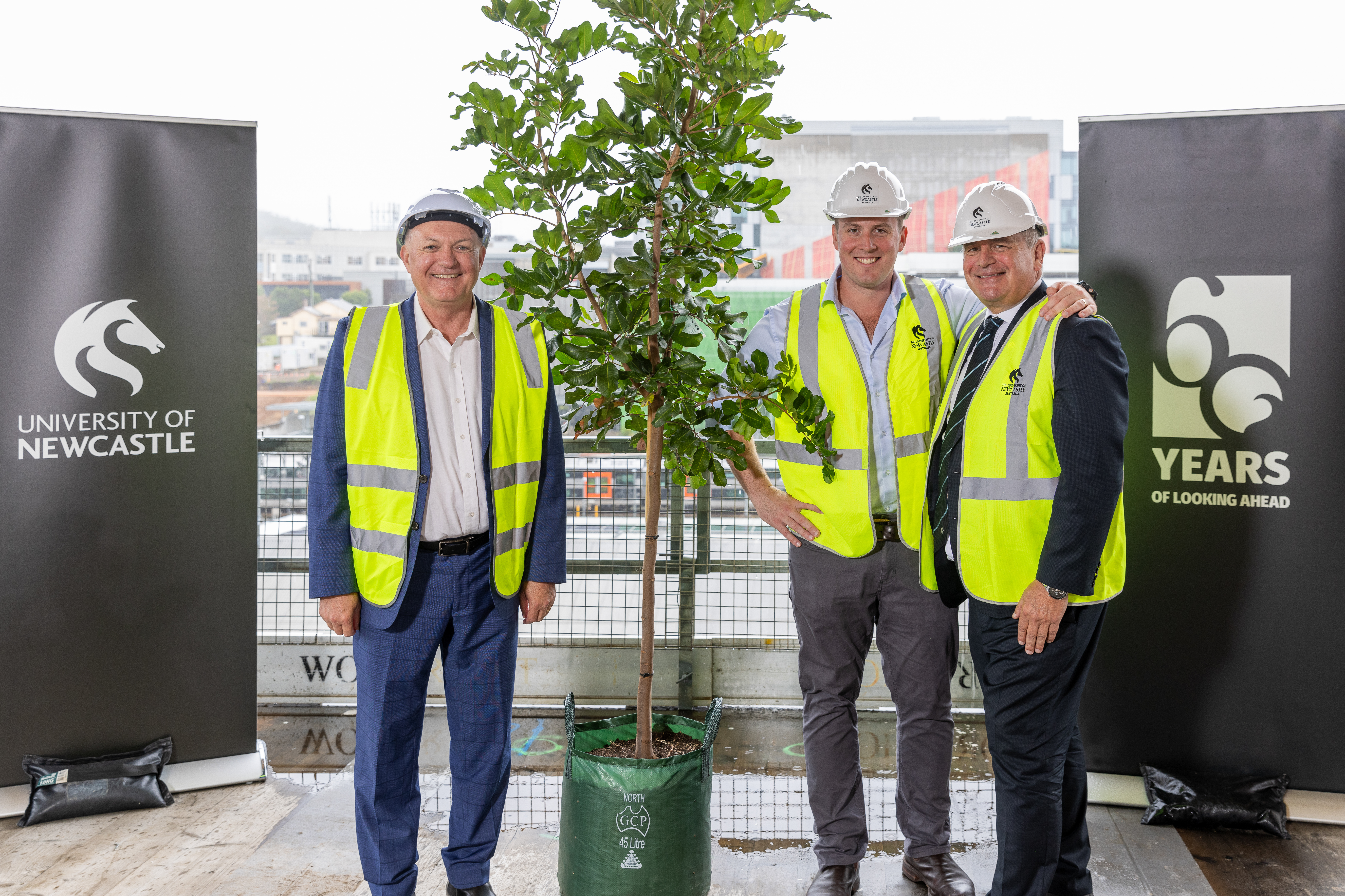 Three men in high-vis vests and hard hats stand next to a tree ready to be potted